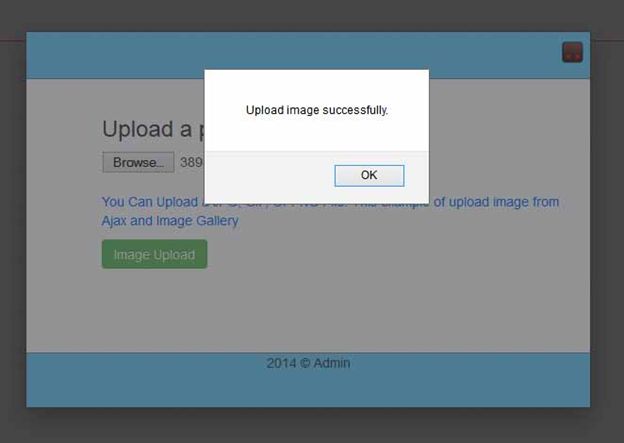 Image Upload Successfully